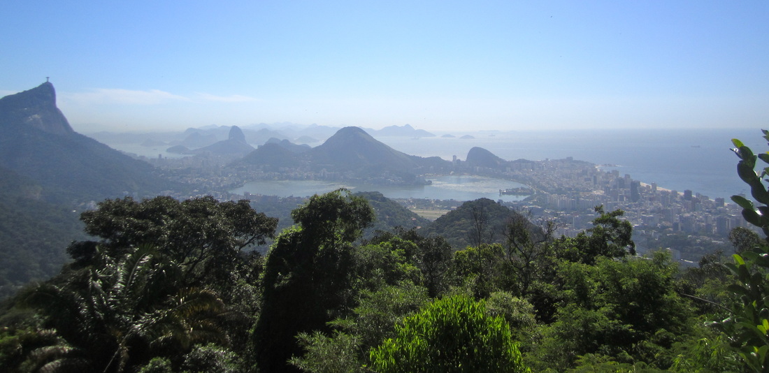 Tijuca Rain Forest