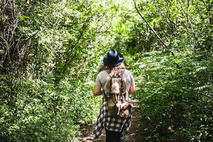 Tijuca Rainforest Hiking Tour
