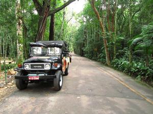 Tijuca Rain Forest Jeep Tour