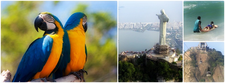 Rio Blog Collage