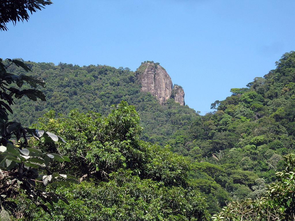 Tijuca Mirim peak