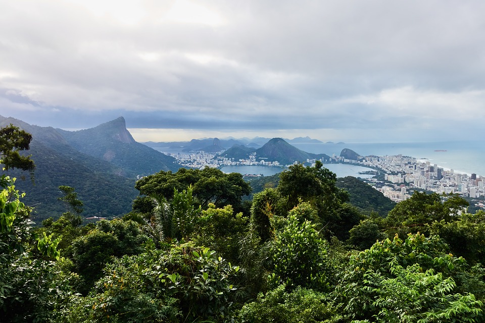 rio de janeiro rainforest tour