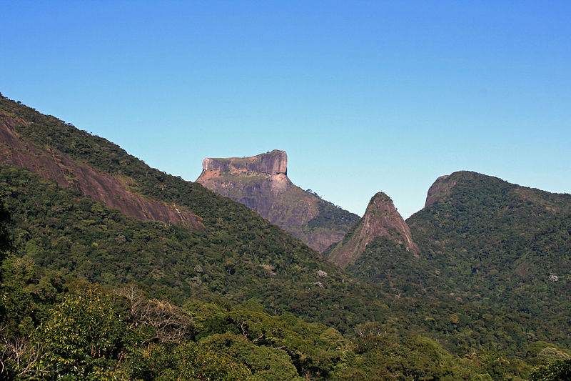 Floresta da Tijuca