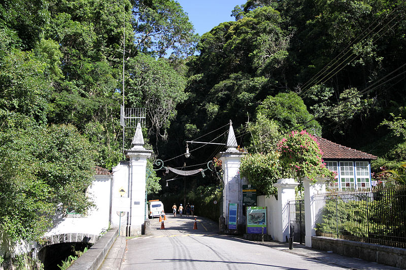 Tijuca Rainforest