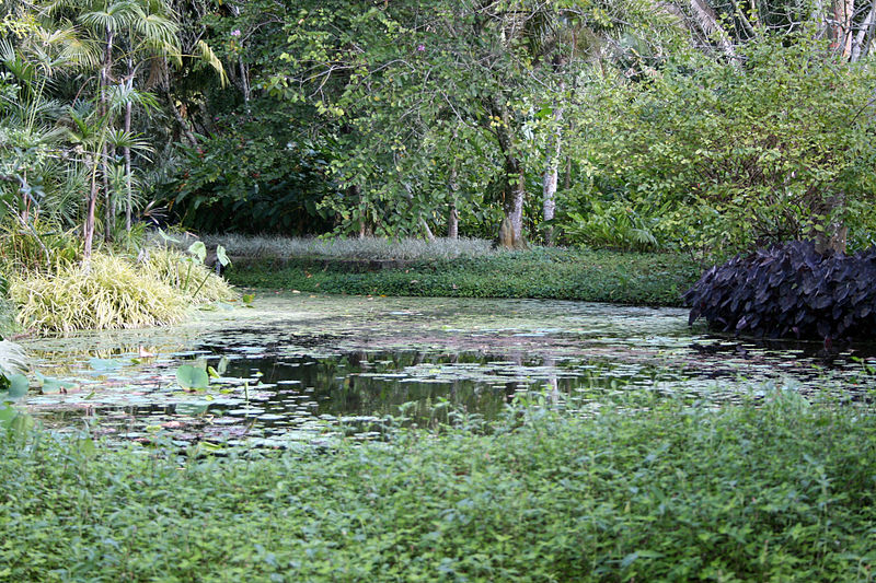 Sítio Roberto Burle Marx