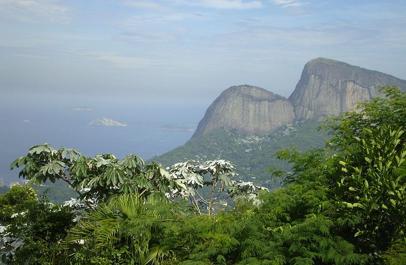 Tijuca national park - Rio de Janeiro Blog