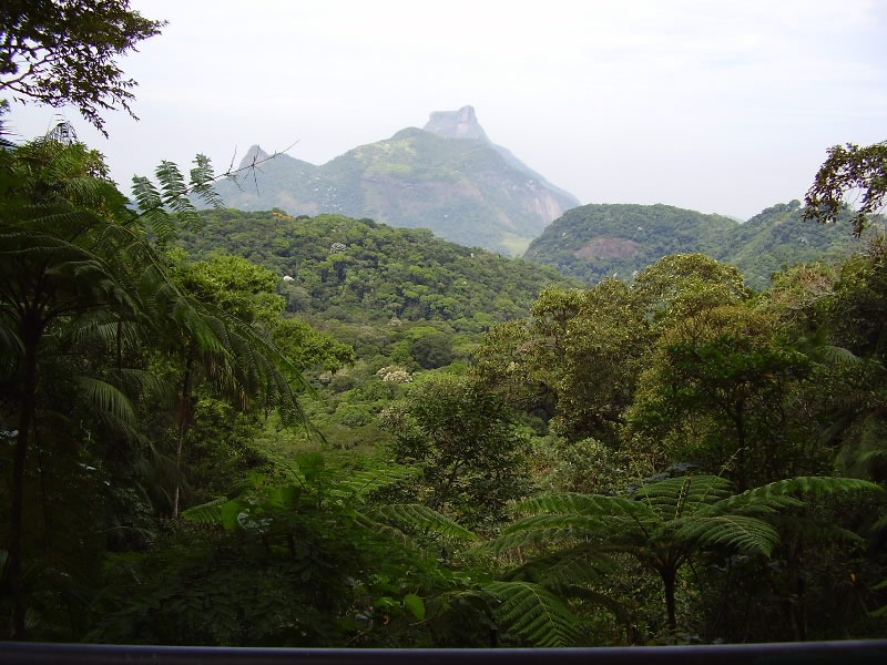 Tijuca National Park