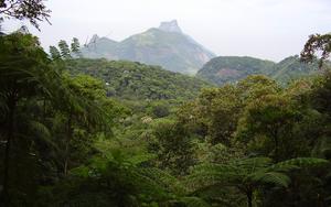 Thumbnail for Tijuca National Park