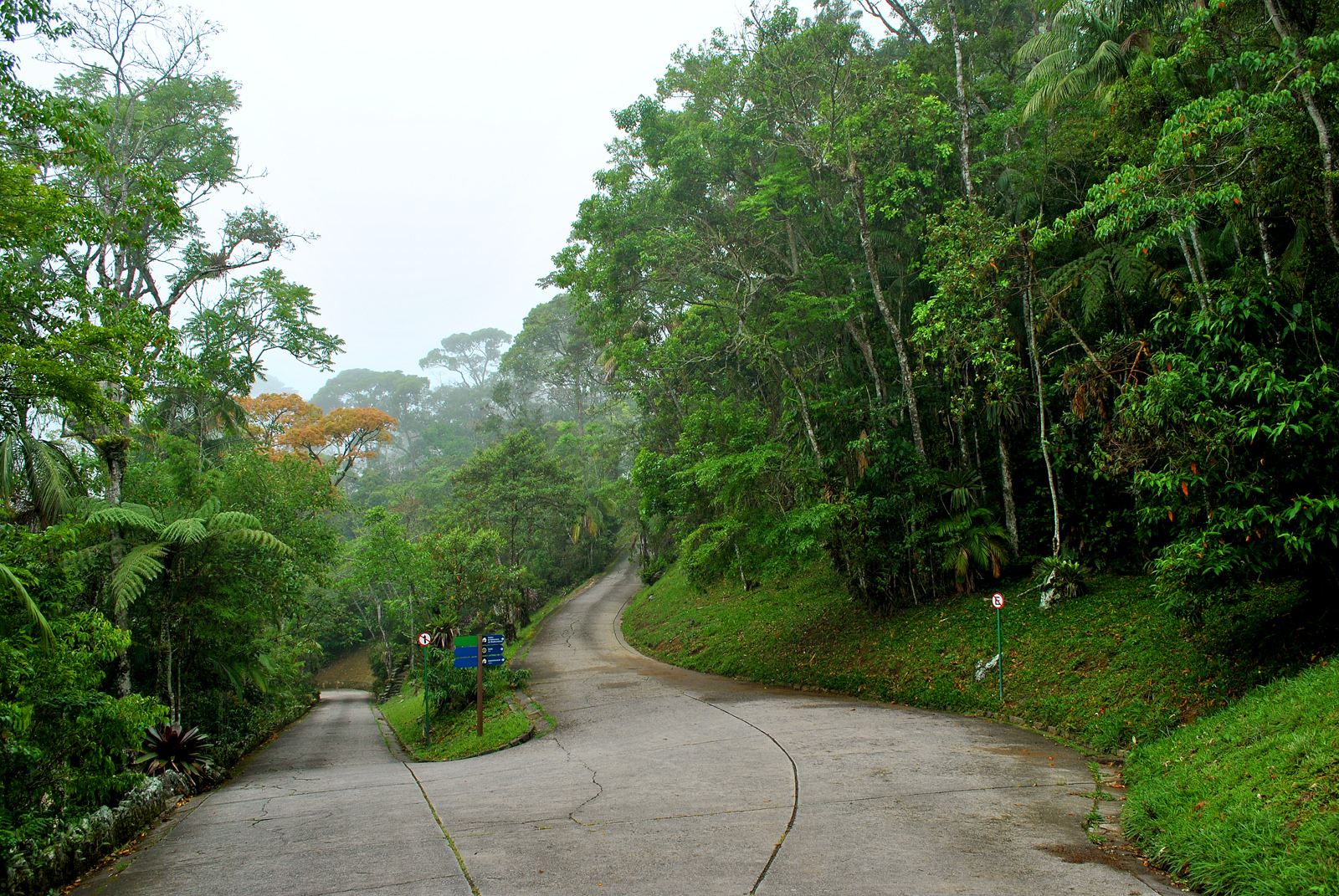 Serra dos Órgãos