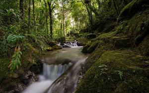 Thumbnail for Discover the Mountain Getaway of Visconde de Maua in Rio