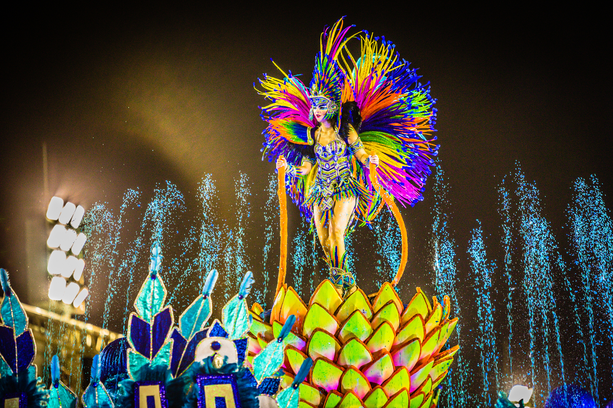 Rio Carnival
