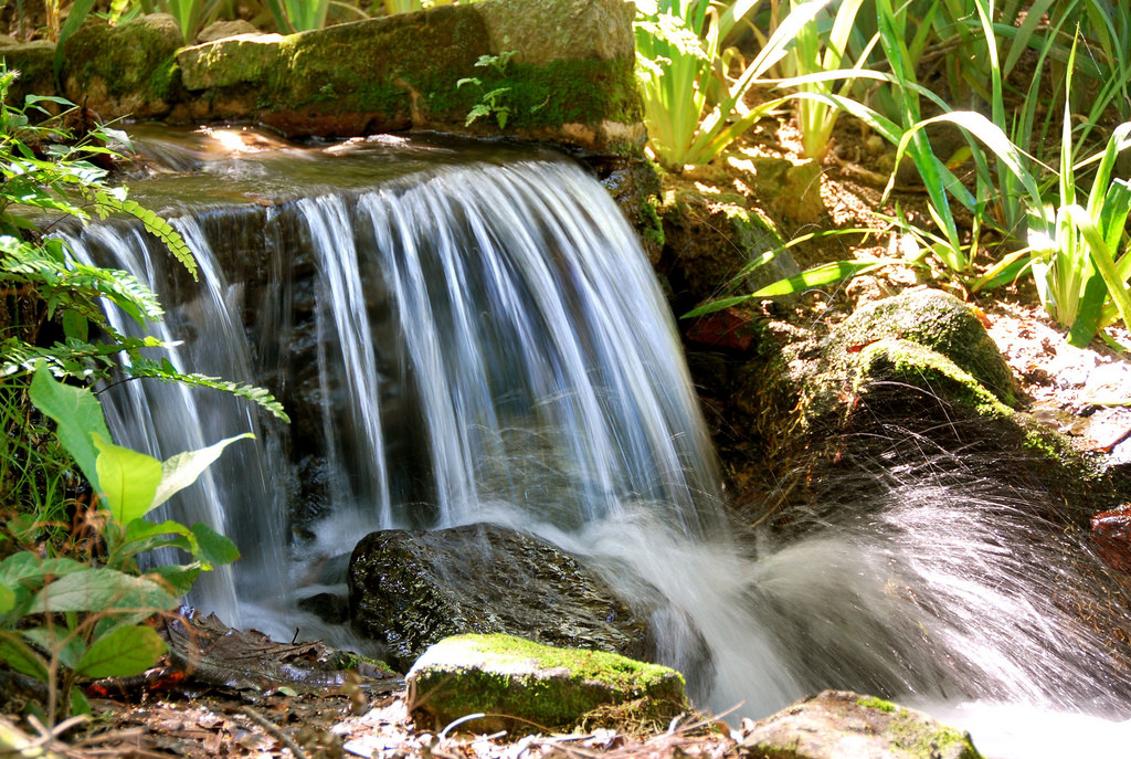 Waterfall at Botanic Garden