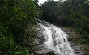 Thumbnail for Explore the Best Waterfalls in Rio