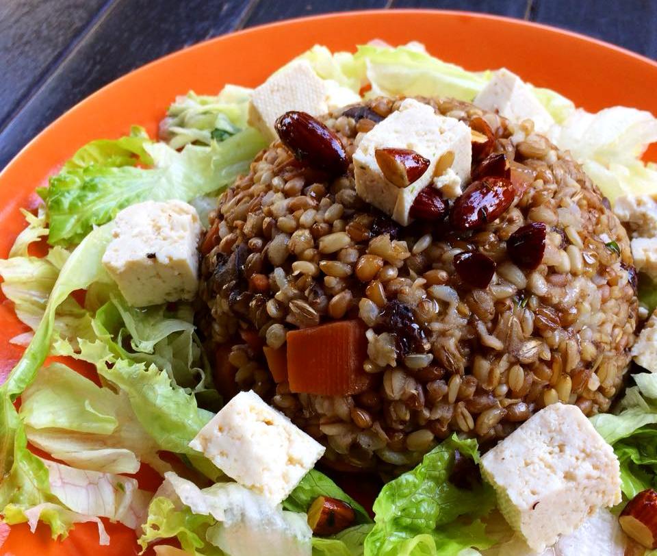 Vegetariano Social Clube