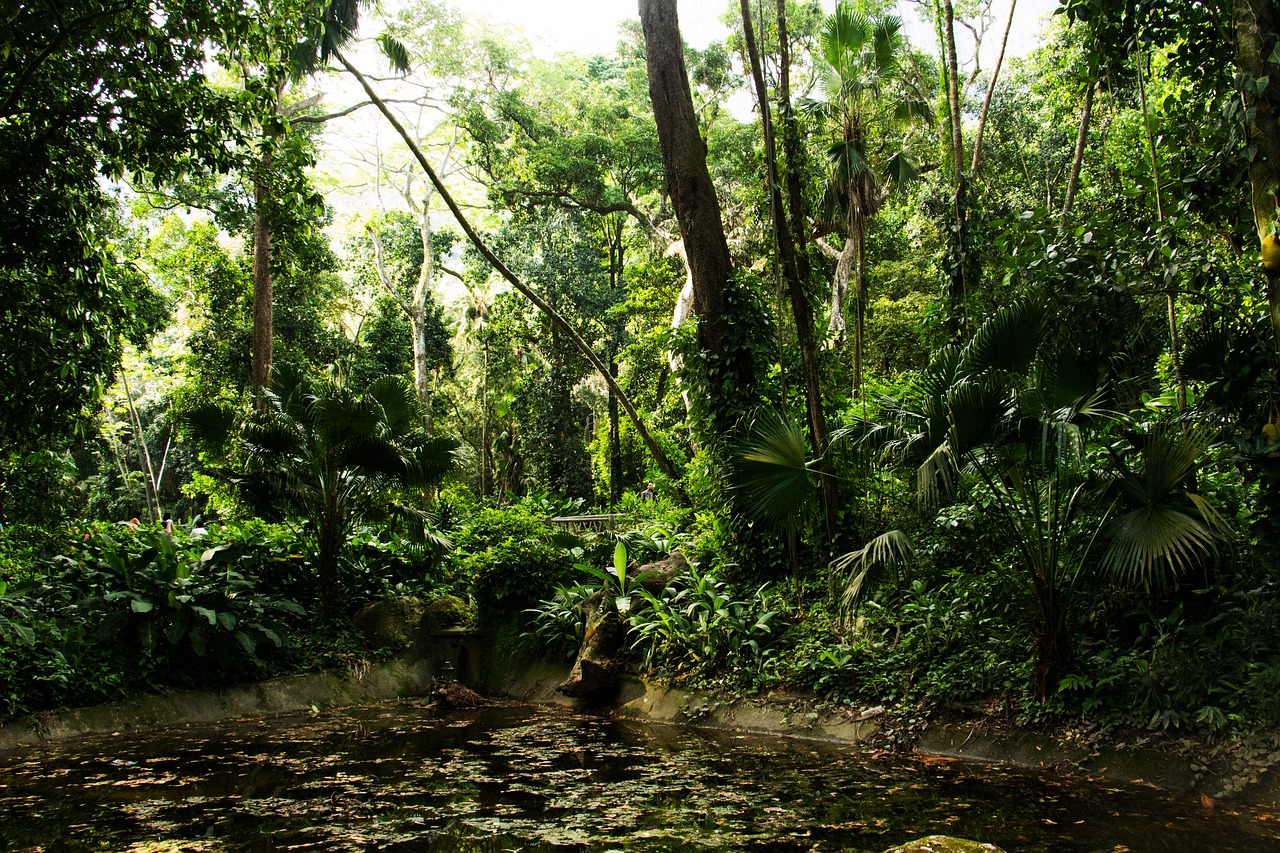 Parque Enqiue Lage