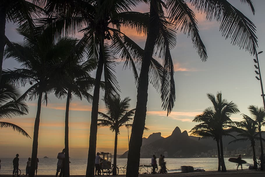 Beach - Rio de Janeiro