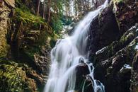 Thumbnail for Things to Know about Rio's Tijuca National Park