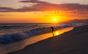 Thumbnail for Spend a day at the Beach in Rio de Janeiro