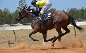 Thumbnail for Hipódromo da Gávea: The Epicenter Of Rio’s Racing